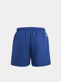 Шорты Adidas модель IR5684 Фото
