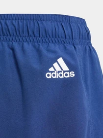 Шорты Adidas модель IR5684 Фото
