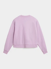 Худи и свитшоты Vans модель VN000JF5CR31 Фото