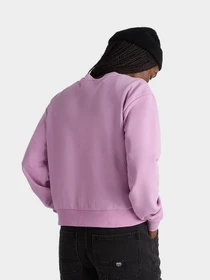 Худи и свитшоты Vans модель VN000JF5CR31 Фото