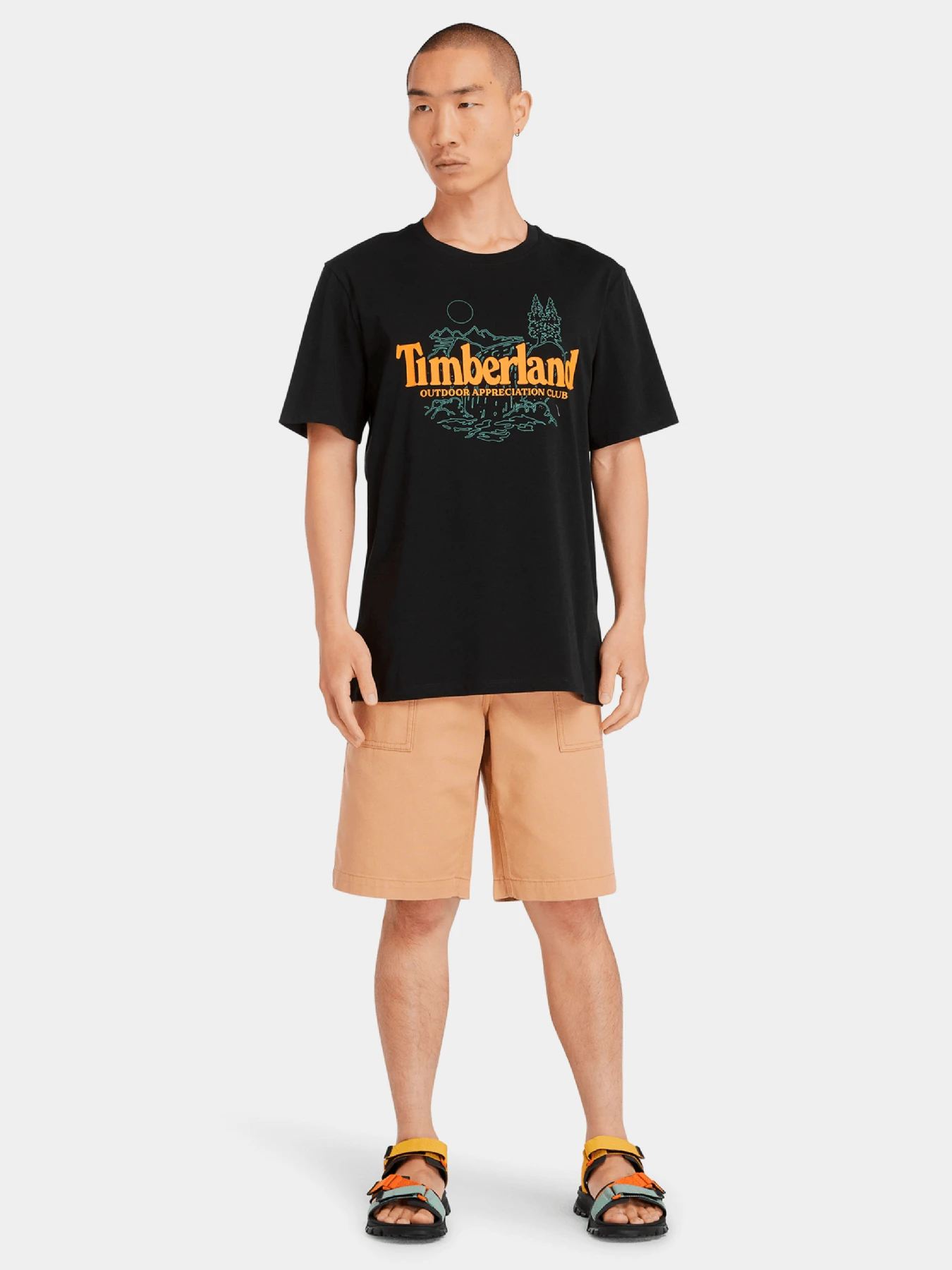 Футболки и поло Timberland модель TB0A5R820011 Фото