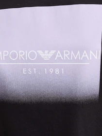 Футболки и поло Emporio Armani модель 164829-4R255-00020 Фото