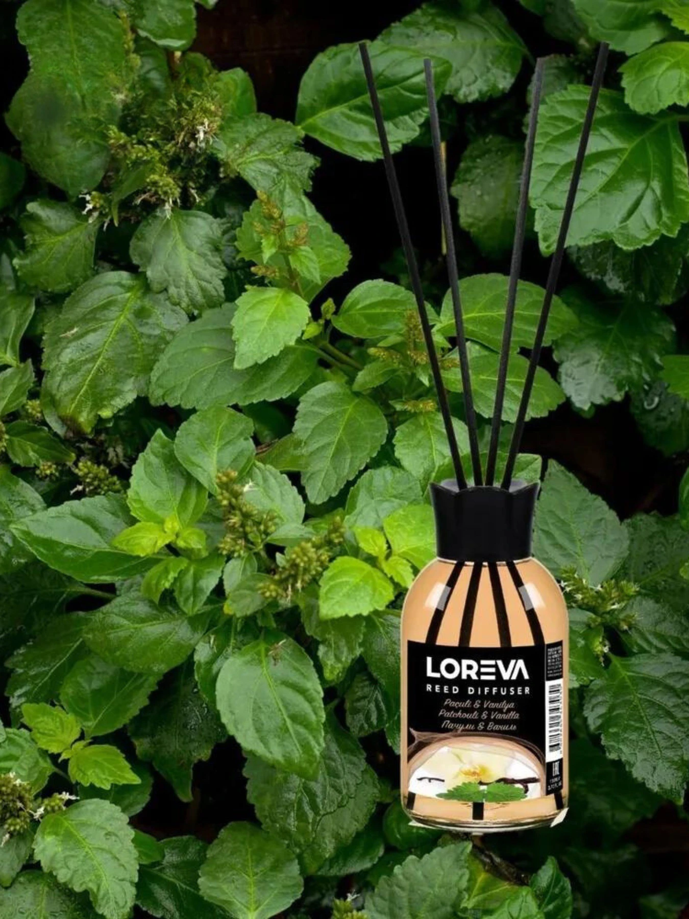 Аромадиффузор для дома Loreva Пачули и ваниль 55ml Loreva модель 001-16 Аромадиффузор для дома Loreva Пачули и ваниль 55ml Loreva модель 001-16 Фото