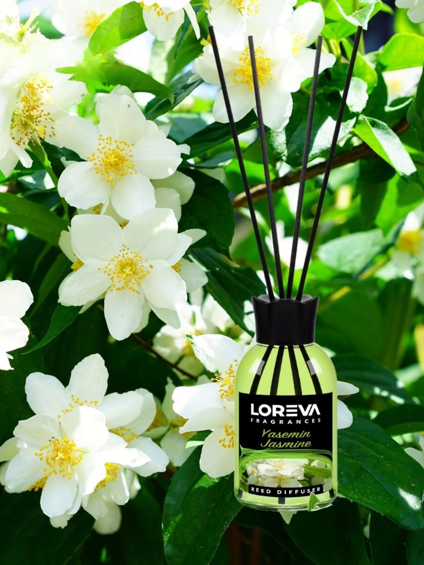 Аромадиффузор для дома Loreva Жасмин 55ml Loreva модель 001-18 Аромадиффузор для дома Loreva Жасмин 55ml Loreva модель 001-18 Фото