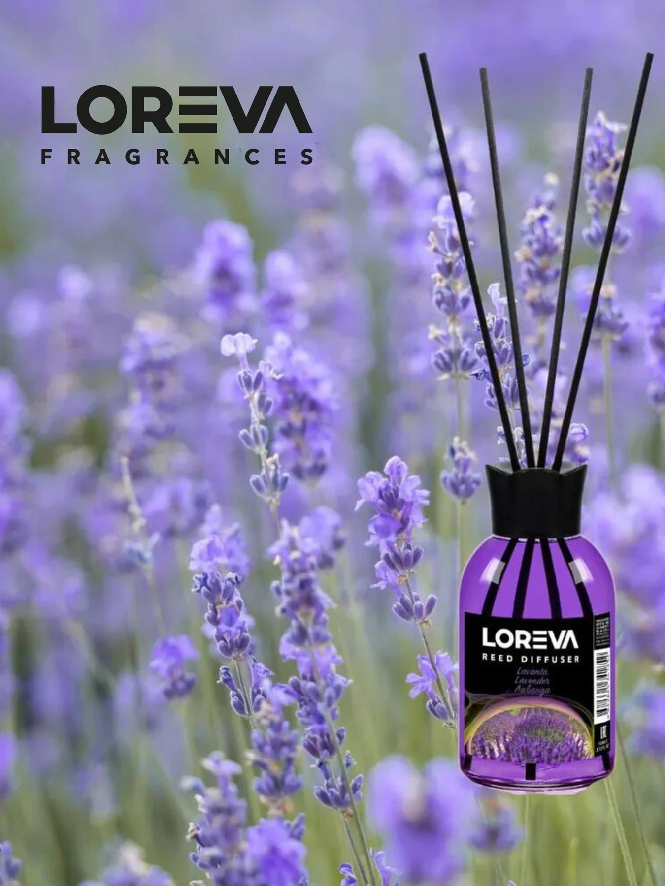 Аромадиффузор для дома Loreva Лаванда 110ml Loreva модель 002-22 Аромадиффузор для дома Loreva Лаванда 110ml Loreva модель 002-22 Фото