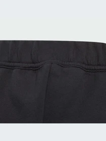 Брюки Adidas ZNE модель IB3990-KZ Фото