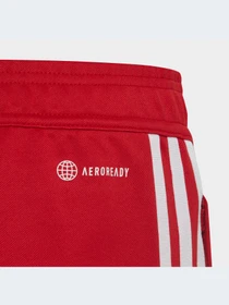 Брюки Adidas Tiro модель HS3545-KZ Фото