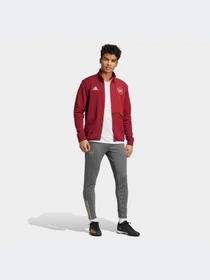 Куртки и дубленки Adidas модель HZ2080-KZ Фото