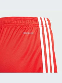 Шорты Adidas модель IB1490-KZ Фото