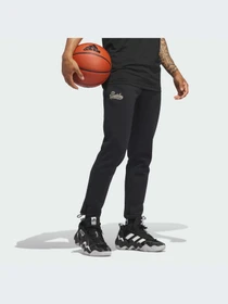 Брюки Adidas модель IJ0283-KZ Фото