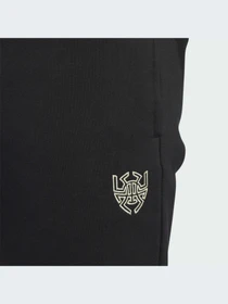 Брюки Adidas модель IJ0283-KZ Фото