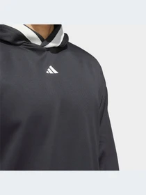 Худи и свитшоты Adidas модель IL2179-KZ Фото