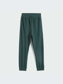 Брюки Adidas модель IT2475-KZ Фото