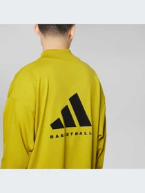 Худи и свитшоты Adidas модель IR8488-KZ Фото