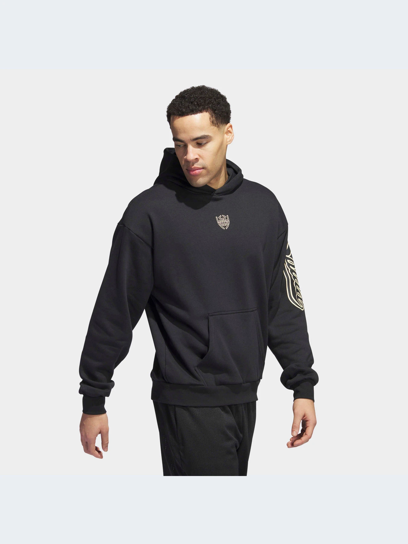 Худи и свитшоты Adidas модель IJ0273-KZ Худи и свитшоты Adidas модель IJ0273-KZ Фото