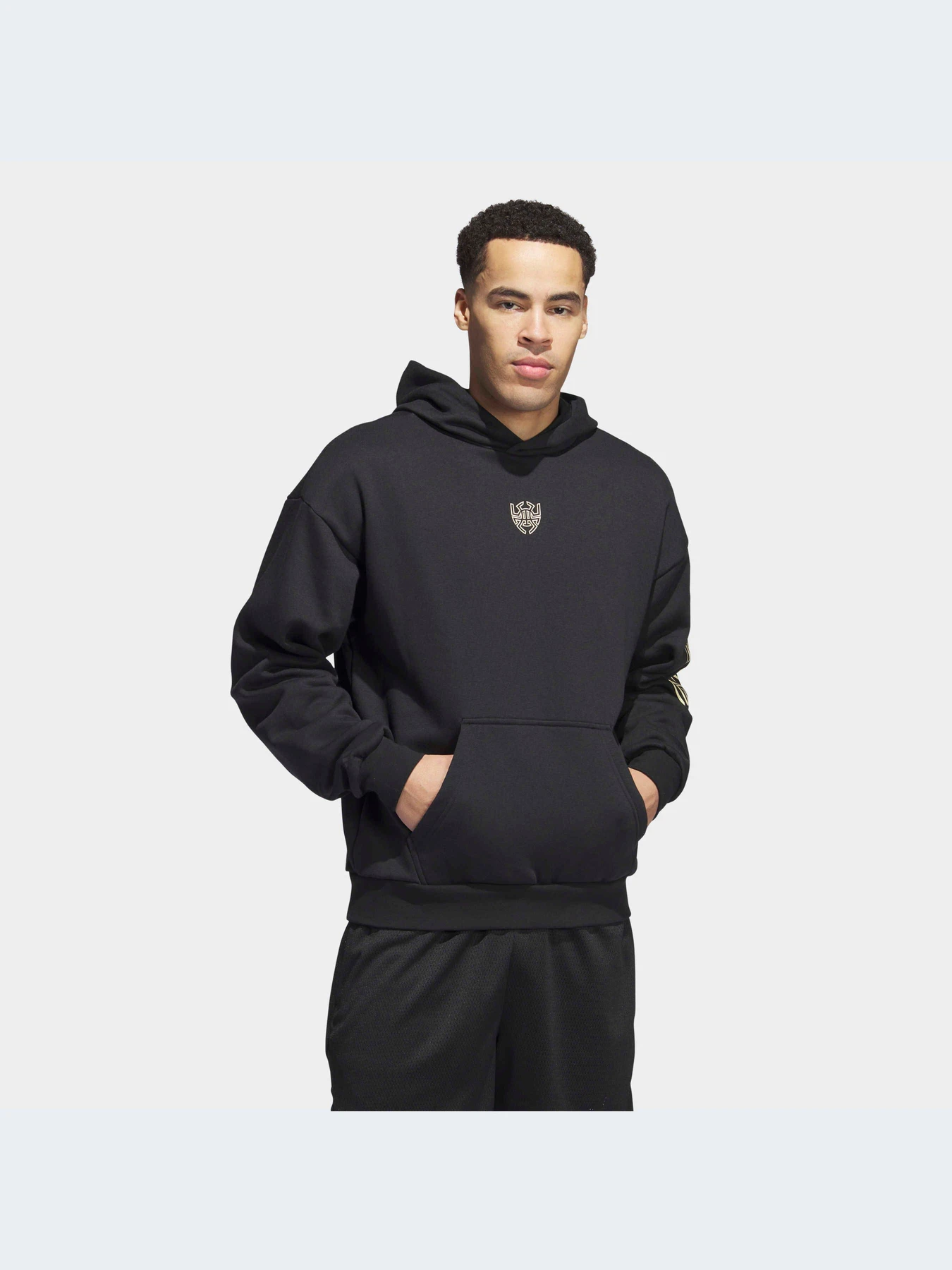 Худи и свитшоты Adidas модель IJ0273-KZ Худи и свитшоты Adidas модель IJ0273-KZ Фото
