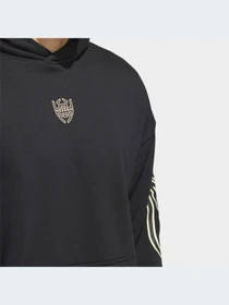 Худи и свитшоты Adidas модель IJ0273-KZ Фото
