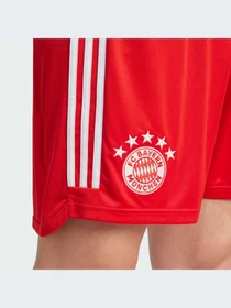 Шорты Adidas модель IJ7444-KZ Фото