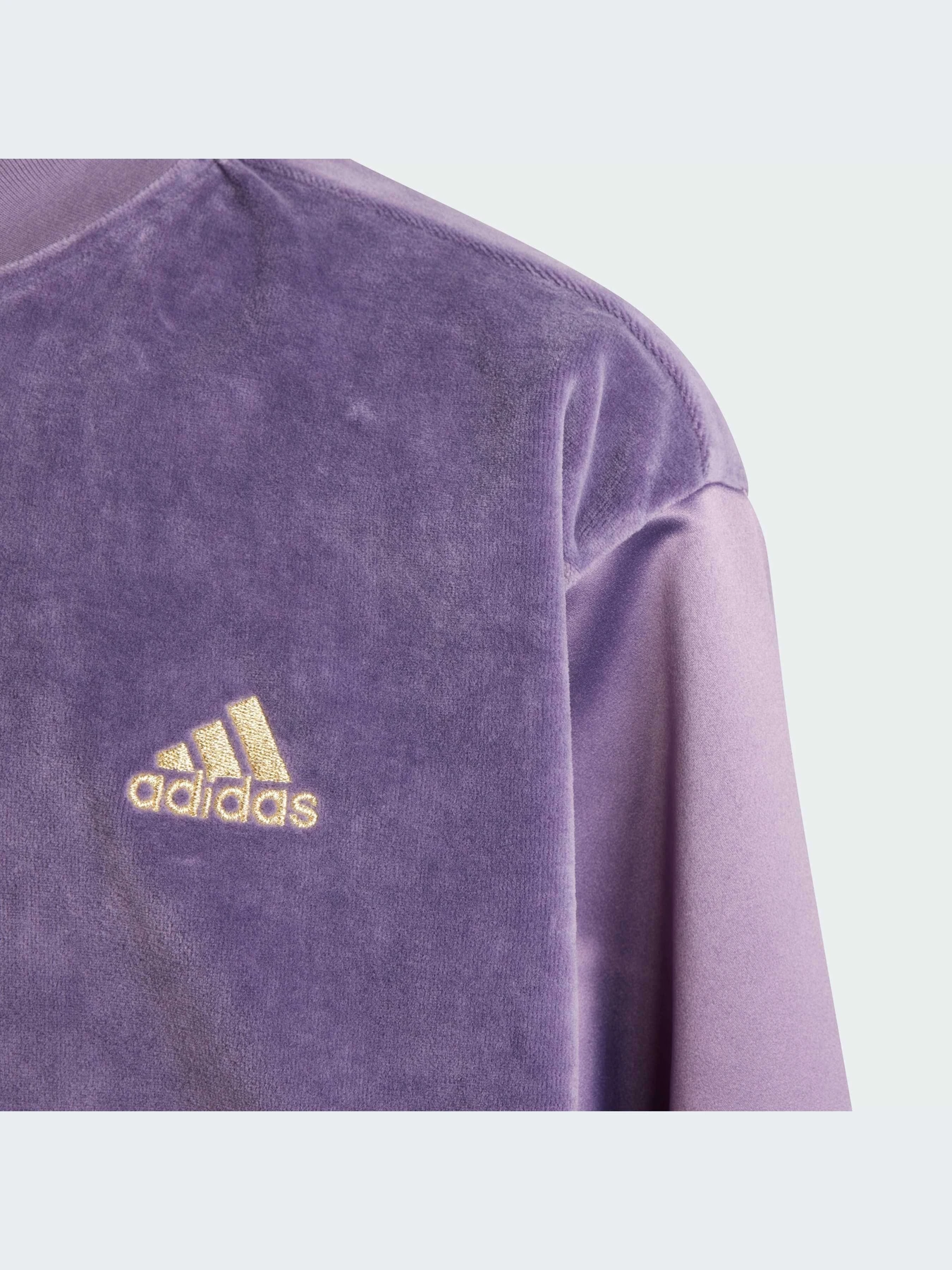 Куртки и дубленки Adidas модель IA1554-KZ Куртки и дубленки Adidas модель IA1554-KZ Фото