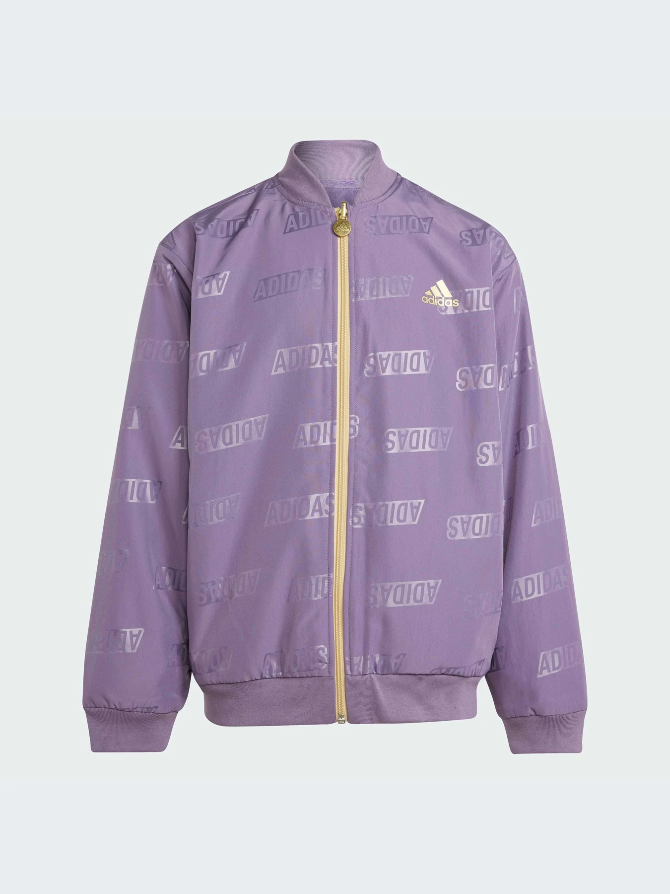 Куртки и дубленки Adidas модель IA1554-KZ Куртки и дубленки Adidas модель IA1554-KZ Фото
