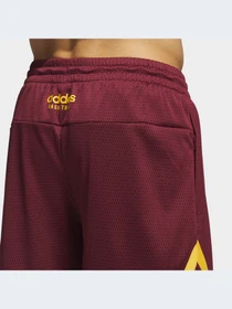 Шорты Adidas модель IM4207-KZ Фото