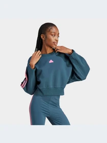 Худи и свитшоты Adidas модель IL3055-KZ Фото