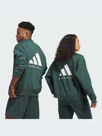 Худи и свитшоты Adidas модель IM8421-KZ Фото