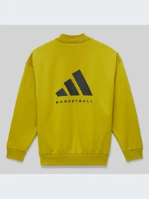 Худи и свитшоты Adidas модель IN4245-KZ Фото