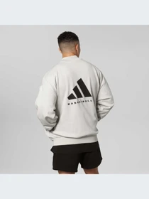 Худи и свитшоты Adidas модель IN4244-KZ Фото