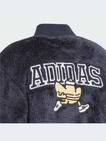 Куртки и дубленки Adidas модель IN4321-KZ Фото