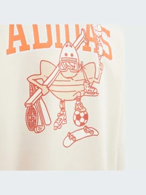 Худи и свитшоты Adidas модель IN4322-KZ Фото