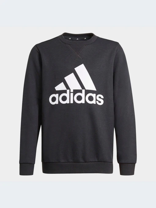 Худи и свитшоты Adidas модель GN4029-KZ Фото