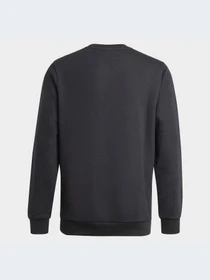 Худи и свитшоты Adidas модель GN4029-KZ Фото