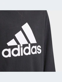 Худи и свитшоты Adidas модель GN4029-KZ Фото