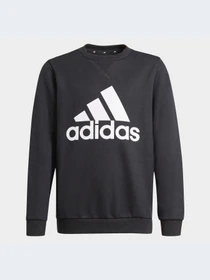 Худи и свитшоты Adidas модель GN4029-KZ Фото