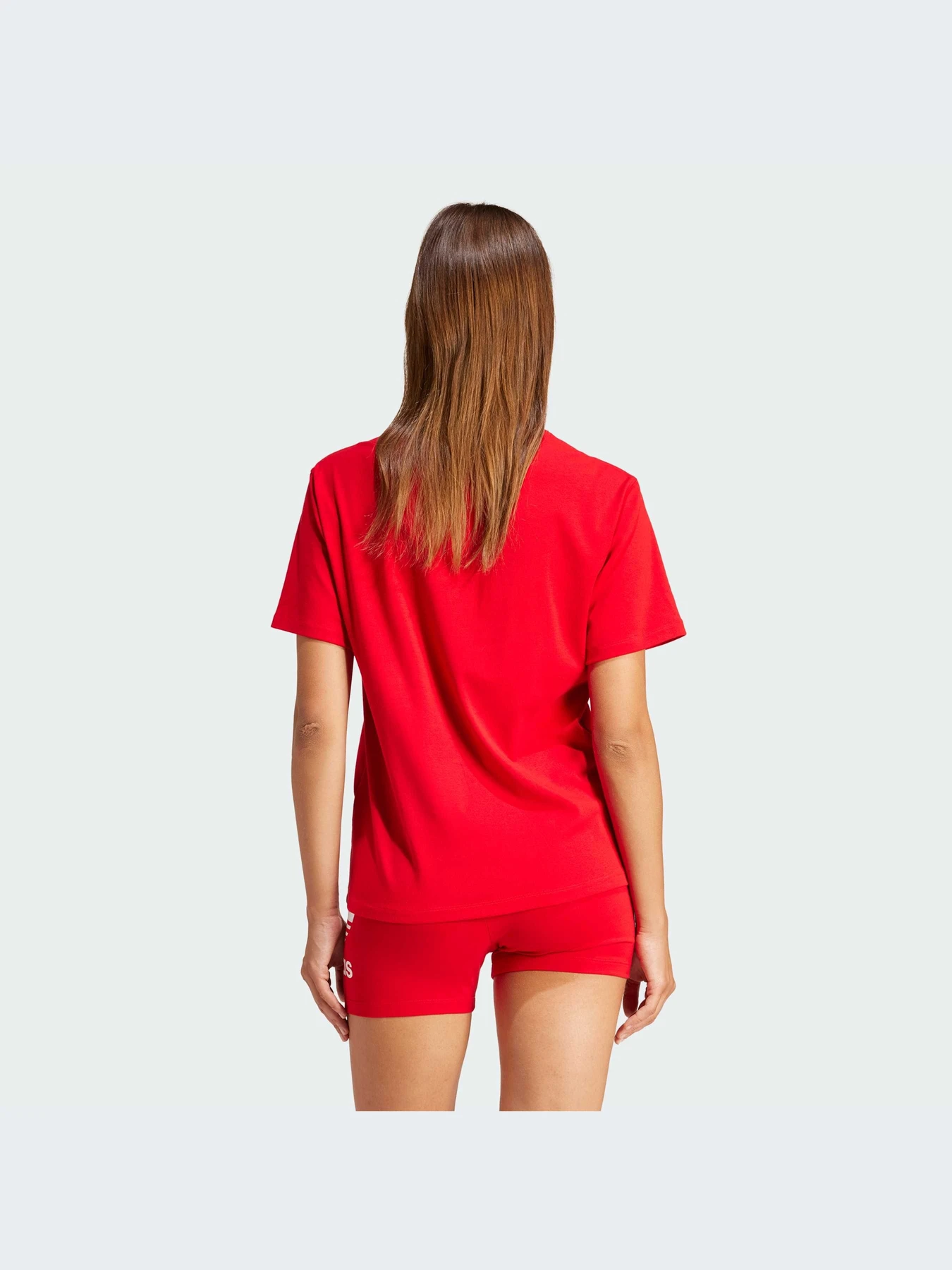 Футболки и поло Adidas Adicolor модель IR9536-KZ Футболки и поло Adidas Adicolor модель IR9536-KZ Фото