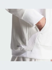 Худи и свитшоты Adidas ZNE модель IQ4793-KZ Фото