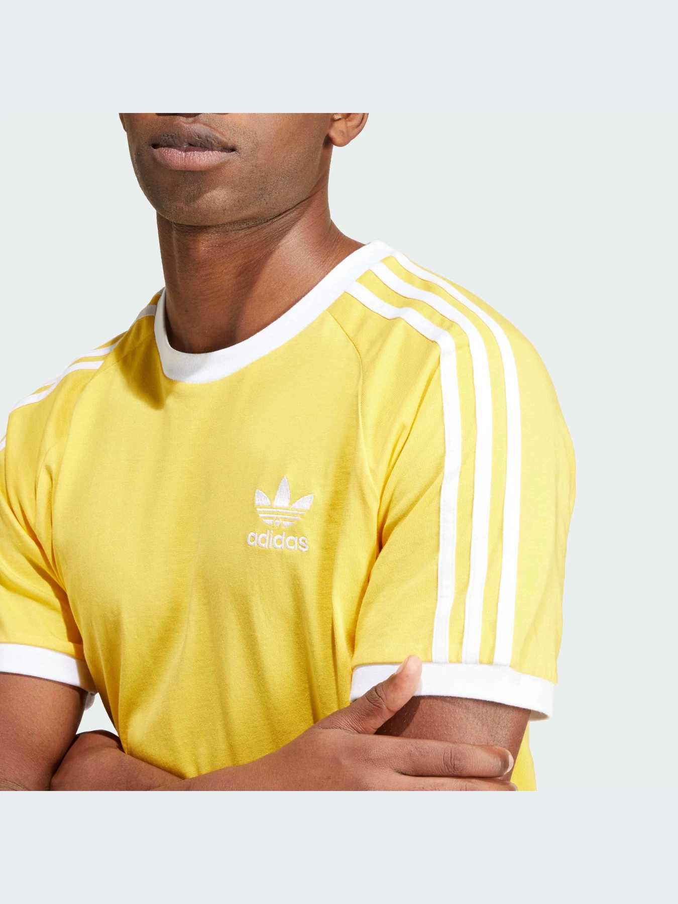 Футболки и поло Adidas Adicolor модель IM9388-KZ Футболки и поло Adidas Adicolor модель IM9388-KZ Фото