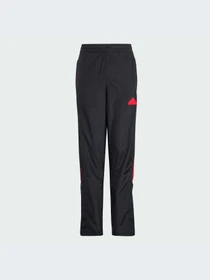 Брюки Adidas Tiro модель IV7104-KZ Фото