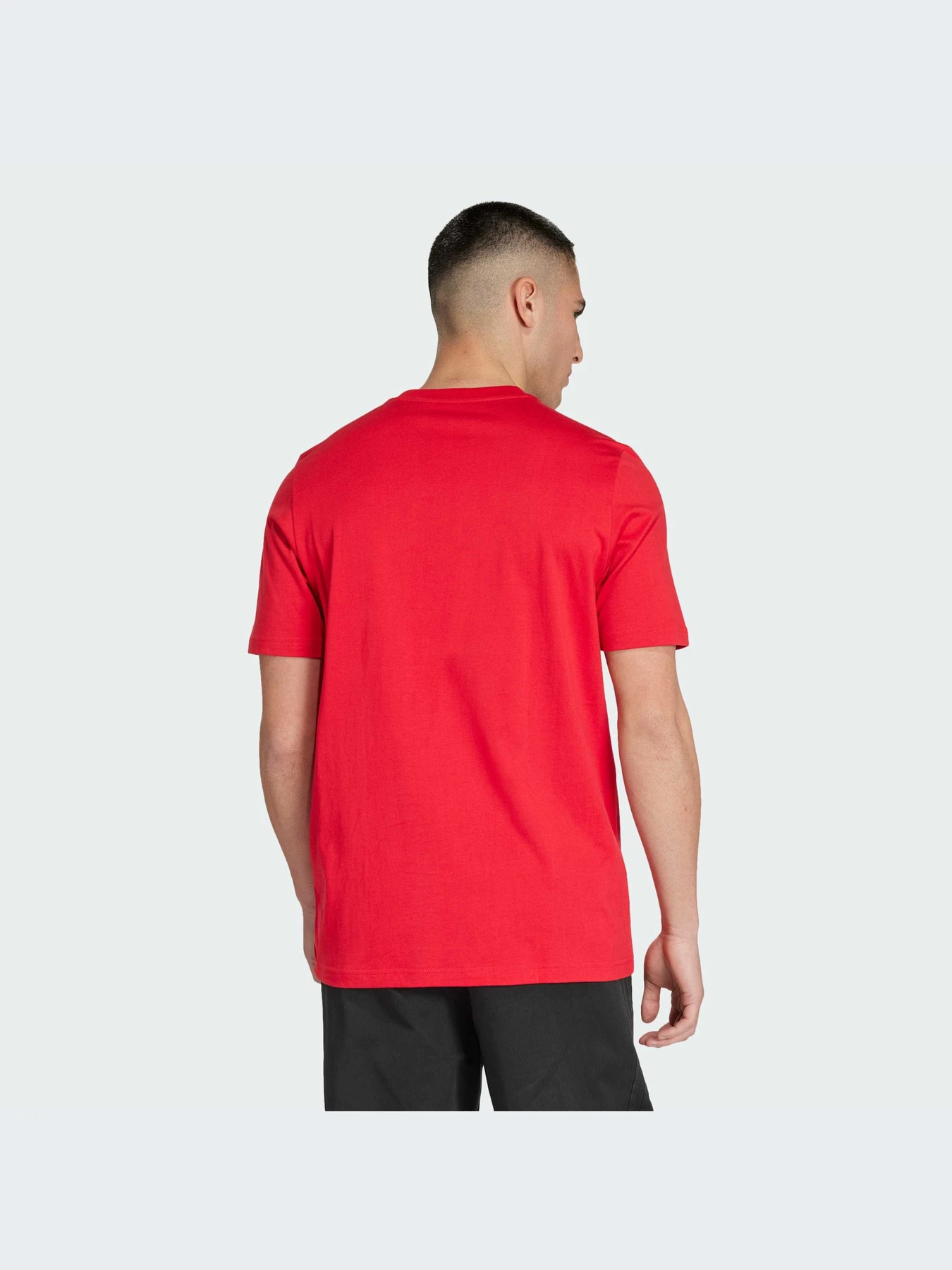 Футболки и поло Adidas модель IS6524-KZ Футболки и поло Adidas модель IS6524-KZ Фото