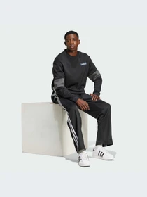 Брюки Adidas Adicolor модель IZ4801-KZ Фото
