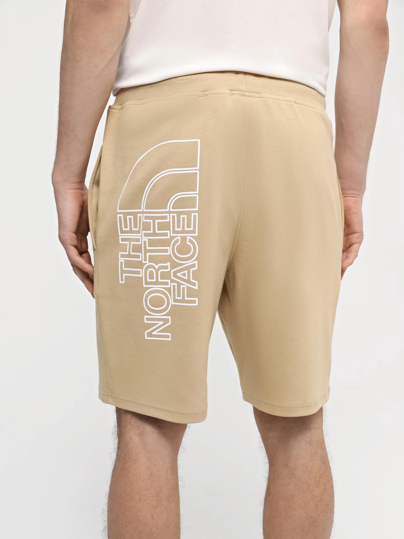 Шорты The North Face модель NF0A3S4FLK51 Шорты The North Face модель NF0A3S4FLK51 Фото