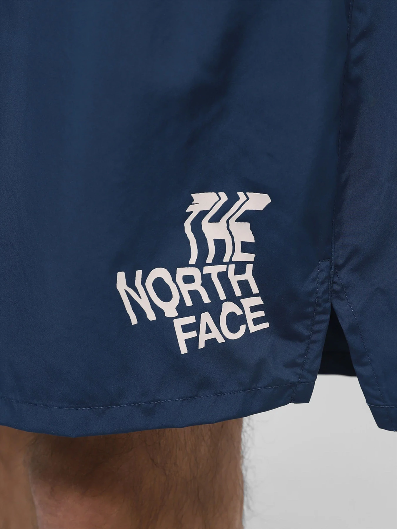 Шорты The North Face модель NF0A7ZU4SOO1 Шорты The North Face модель NF0A7ZU4SOO1 Фото