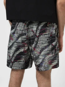 Шорты The North Face модель NF0A81X1SIR1 Фото