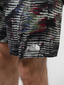 Шорты The North Face модель NF0A81X1SIR1 Фото