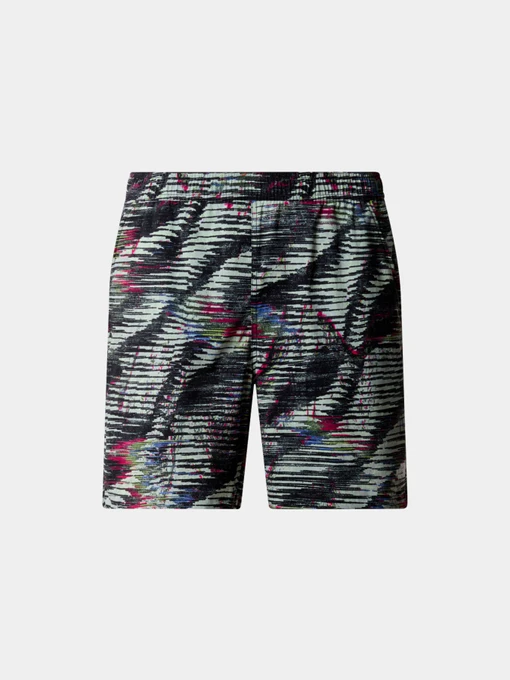 Шорты The North Face модель NF0A86QMSIR1 Фото