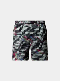 Шорты The North Face модель NF0A86QMSIR1 Фото