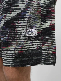 Шорты The North Face модель NF0A8768SIR1 Фото