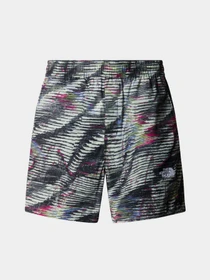 Шорты The North Face модель NF0A8768SIR1 Фото