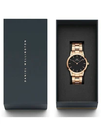 Часы Daniel Wellington модель DW00100210 Фото